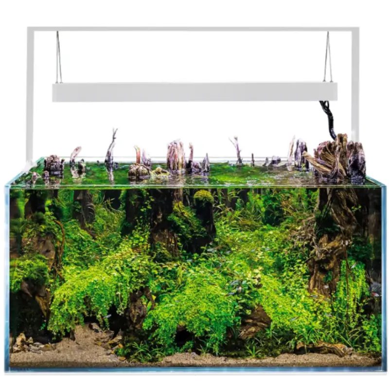 AquaEl Akvarie og Lampe Ultra Scape 90 Snow